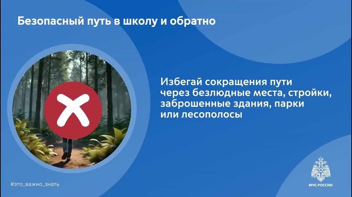 Безопасная дорога в школу. МЧС России напоминает: