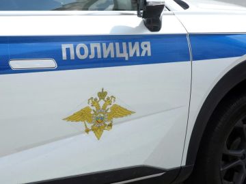 Житель Дзержинска проиграл в казино похищенные 5 млн рублей у пенсионерки