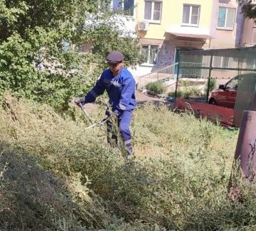 Сегодня, 4 сентября, с целью приведения территории в надлежащее санитарное состояние в Кировском внутригородском районе города Макеевки силами Макеевского филиала НКО «ЕДИНЫЙ РЕГИОНАЛЬНЫЙ ФОНД ПО УПРАВЛЕНИЮ МНОГОКВАРТИРНЫМИ...