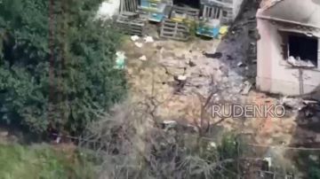������ �������: ����������� ��������� ����������� �������������� �� ������������ �����������, ������� ��� 4-� ��������� �������������� ������� ������ ����������� ���������� � ���������� ����� ���������� ���� ����������