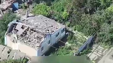 ���������� ������ �������� ����� ������������ ����������� � ���