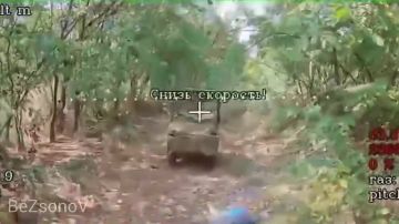 ������ ��������: #���������. ������ ������������� 3-�� ���������� ������� ������ ����������� ����� ��� ������������ ���� �������� ���������-������������ ����������� ���