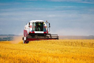 В ДНР продолжается уборочная кампания