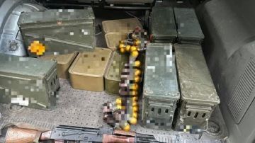 �������� � �������������� ����������� ������� �����������