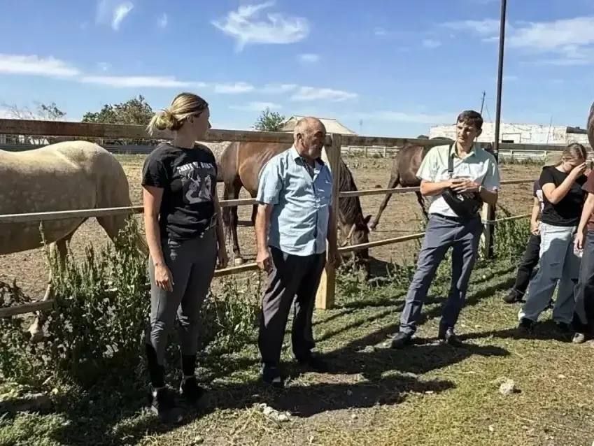 В Мангушской конеферме отметили День Фрола и Лавра: праздник коня и человека В Мангушской конеферме отметили День Фрола и Лавра: праздник коня и человека