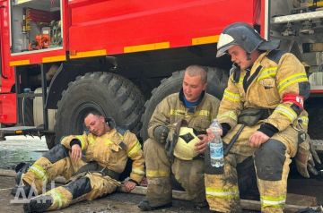 В ДНР за сутки ликвидировали 110 пожаров, спасены три человека