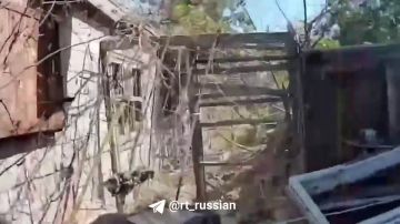 Маскировка ВСУ не помогла: операторы FPV-дронов уничтожили три пункта управления БПЛА в Дружковке и Клиновом в ДНР