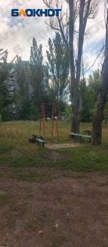 Аварийные тополя у детской площадки в Горловке внесут в список — когда их уберут, неизвестно