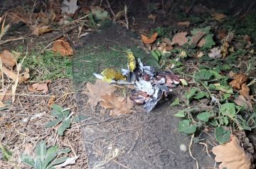 Житель Горловки получил ранения при атаке БПЛА