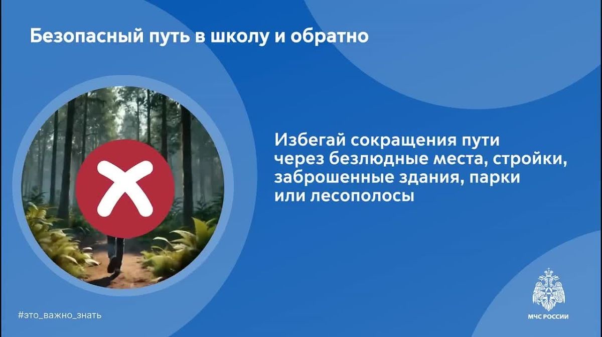 Денис Зубов: Безопасная дорога в школу. МЧС России напоминает: