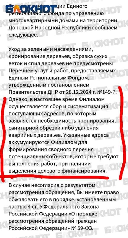 Аварийные деревья готовы расшибить детские качели в Горловке: фонд МКД строчит издевательские отписки Аварийные деревья готовы расшибить детские качели в Горловке: фонд МКД строчит издевательские отписки
