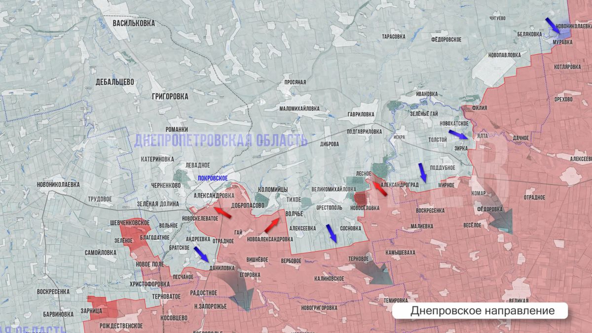 Олег Царёв: Фронтовая сводка 8 сентября Олег Царёв: Фронтовая сводка 8 сентября