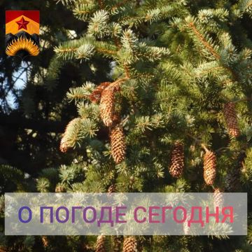 ��������� �����: ������������� ������� � ������ � ���������� ������
