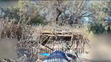 Владислав Шурыгин: Расчёт БПЛА «Южной» группировки войск в районе Дружковки уничтожил 122-мм САУ 2С1 «Гвоздика» ВСУ
