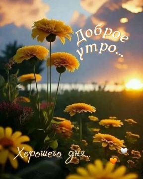 #доброе_утро