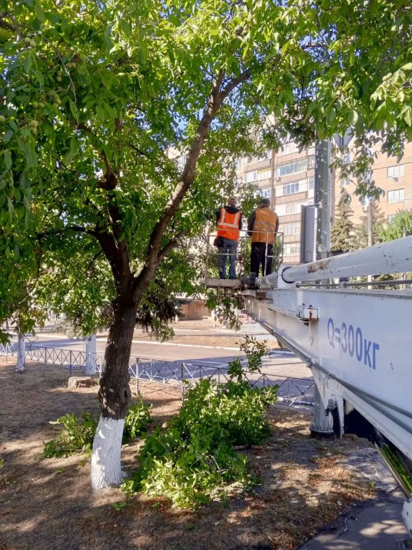 Коммунальщики Снежного продолжают благоустраивать территории общего пользования