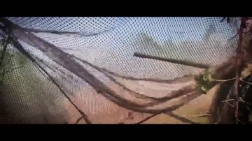 Наши деды и прадеды 83 года назад освободили Донбасс от фашистской нечисти