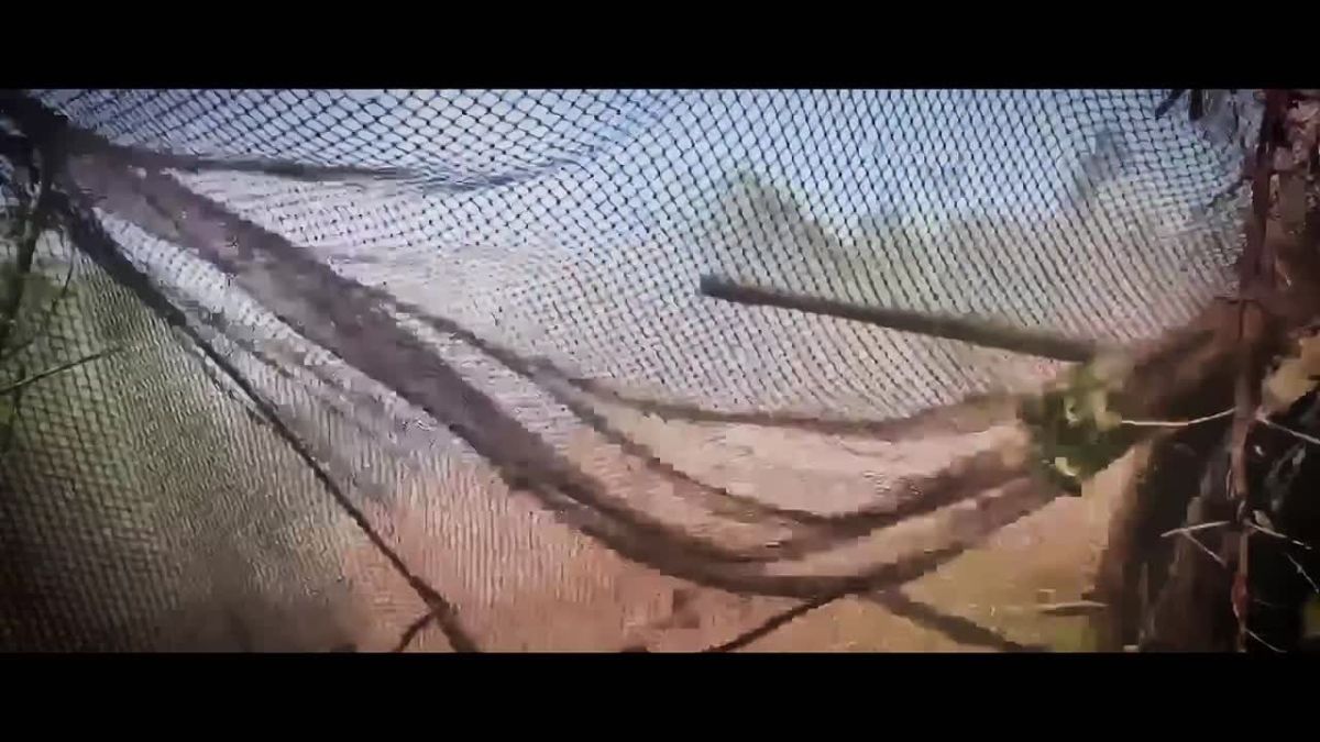Наши деды и прадеды 83 года назад освободили Донбасс от фашистской нечисти