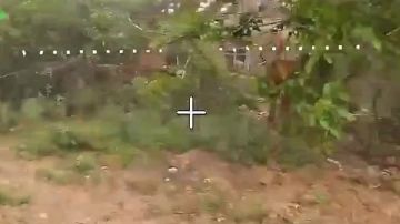 ������� ����� ����������� ����� ���������� ����� ���� ��� � ������� ������� ��� ����� � ������������ ������
