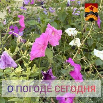 ��������� �����: ������������� ������� � ������ � ���������� ������