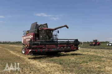 Аграрии Донбасса собрали порядка 1,2 миллиона тонн сельхозкультур