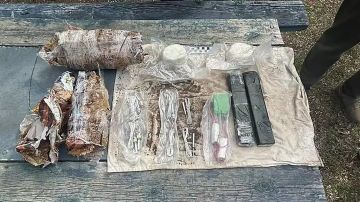 Суд приговорил жителя Мариуполя к 25 годам лишения свободы за госизмену и содействие террористической деятельности