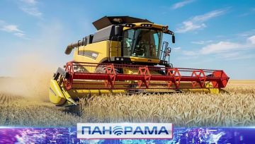 Лучший результат за долгое время: как наши аграрии выходят на исторический максимум?