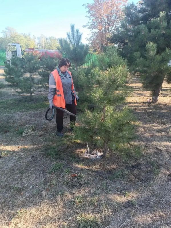 В Мариуполе продолжается преображение общественных пространств В Мариуполе продолжается преображение общественных пространств