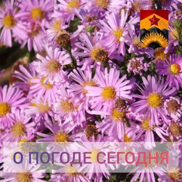 Александр Шатов: Гидрометцентр сообщил о погоде в Шахтерском округе