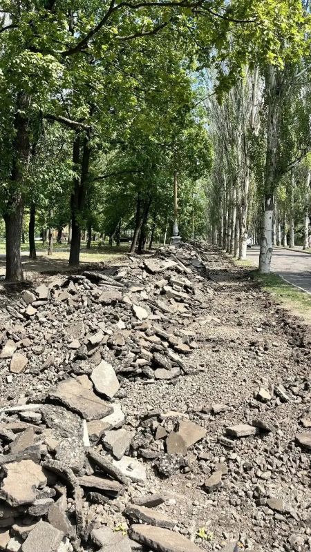 Благоустройство парковой зоны в центральной части г. Тореза выходит на стартовый этап масштабного преображения Благоустройство парковой зоны в центральной части г. Тореза выходит на стартовый этап масштабного преображения