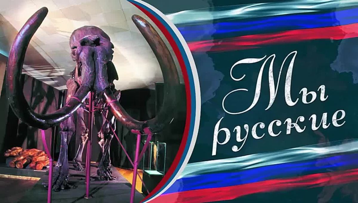 «Место, где оживает память земли, где в каждом предмете — судьбы людей, дыхание эпох и история родного края»