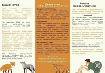 Важно! Памятки для каждого