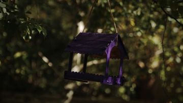 11 ������� �������� � ��������������: ���������� ��������� �������� � ������� �����