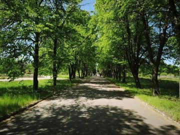 На всей территории ДНР, кроме Приазовья до конца недели прогнозируется пожарная опасность 4 класса