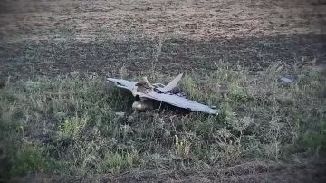 Ударный дрон "Б-2", которым украинские террористы пытались атаковать гражданские автомобили на участке дороги под Тельманово