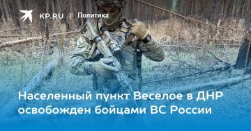 Населенный пункт Веселое в ДНР освобожден бойцами ВС России