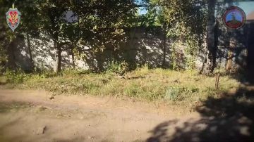 100 ���������������� ���� ��� ������ �������� ������������ �� ������ � ���