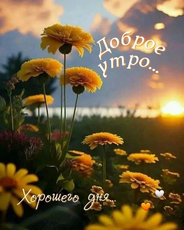 #доброе_утро