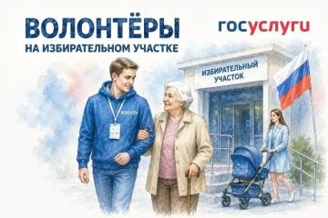 Цифровой сервис «Волонтёры на избирательном участке» поможет сделать голосование удобнее