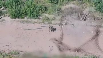 ������� ���������: ���� ��������� FPV � ����� ������: ��� �����, ���������� ������������ ����������� ����� "�����", �������� ���������� � � ����� �������� ���������� �������� ����� ������ � ��� ���� ������� ���������...