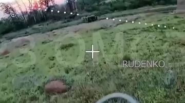 ������ �������: ����������� ������� ��������� ����������� ��������������, ������� ���� ������ ����������� ����� ������� � ���������� ������� � ����� ����� ���������� �� ���������� �����������