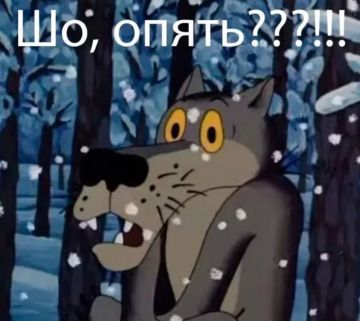 ��? �����?. ������� ��������� ���� ������� �����������-�������:
