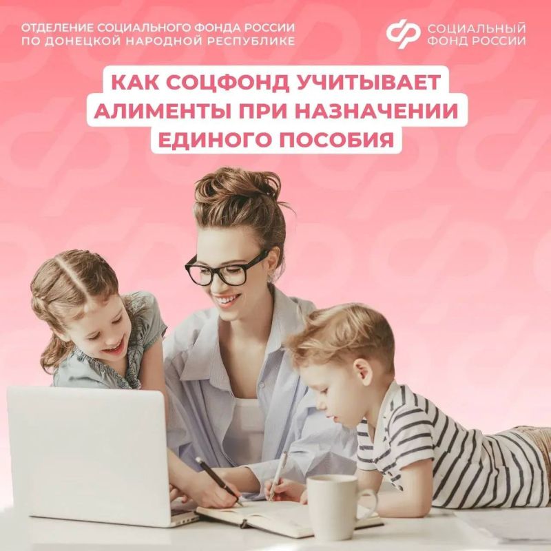 Как учитываются алименты при назначении единого пособия