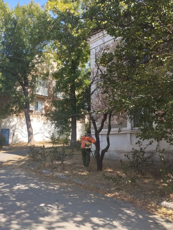 Александр Качанов: В Докучаевске ведутся работы по покосу карантинной травы Александр Качанов: В Докучаевске ведутся работы по покосу карантинной травы