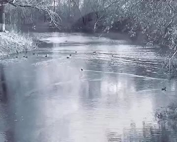 ����� ����� �������� ��������� ���� ������� ���, ������ �������, ������� ��������� ����� � ��������