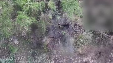 ������ ��������: #���������. ������ ������ �������� ���� ����������� ����� ������ �� ��������� � ���� ��������� �� ������������� ����������� � ���