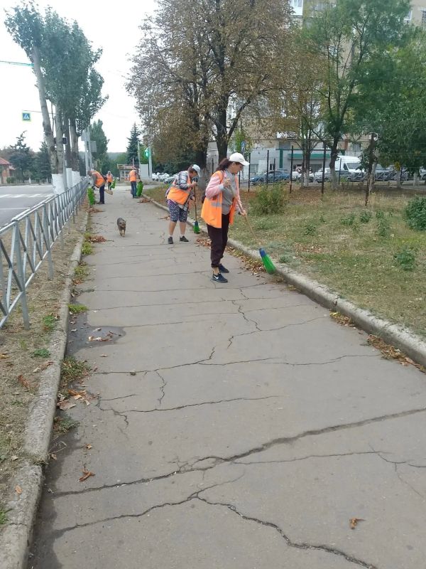 Коммунальщики Снежного продолжают благоустраивать территории общего пользования Коммунальщики Снежного продолжают благоустраивать территории общего пользования