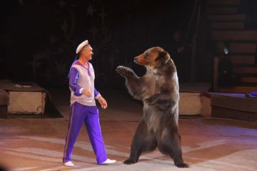 В Донецке начались новые гастроли Росгосцирка с программой «Зов джунглей»