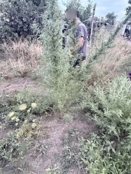 � ������� ��������-��������� �������� �� ������� 780 ������ �������