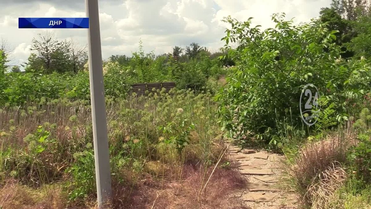 Можно ли в СНТ изменить вид разрешенного использования земельного участка с садового на ИЖС